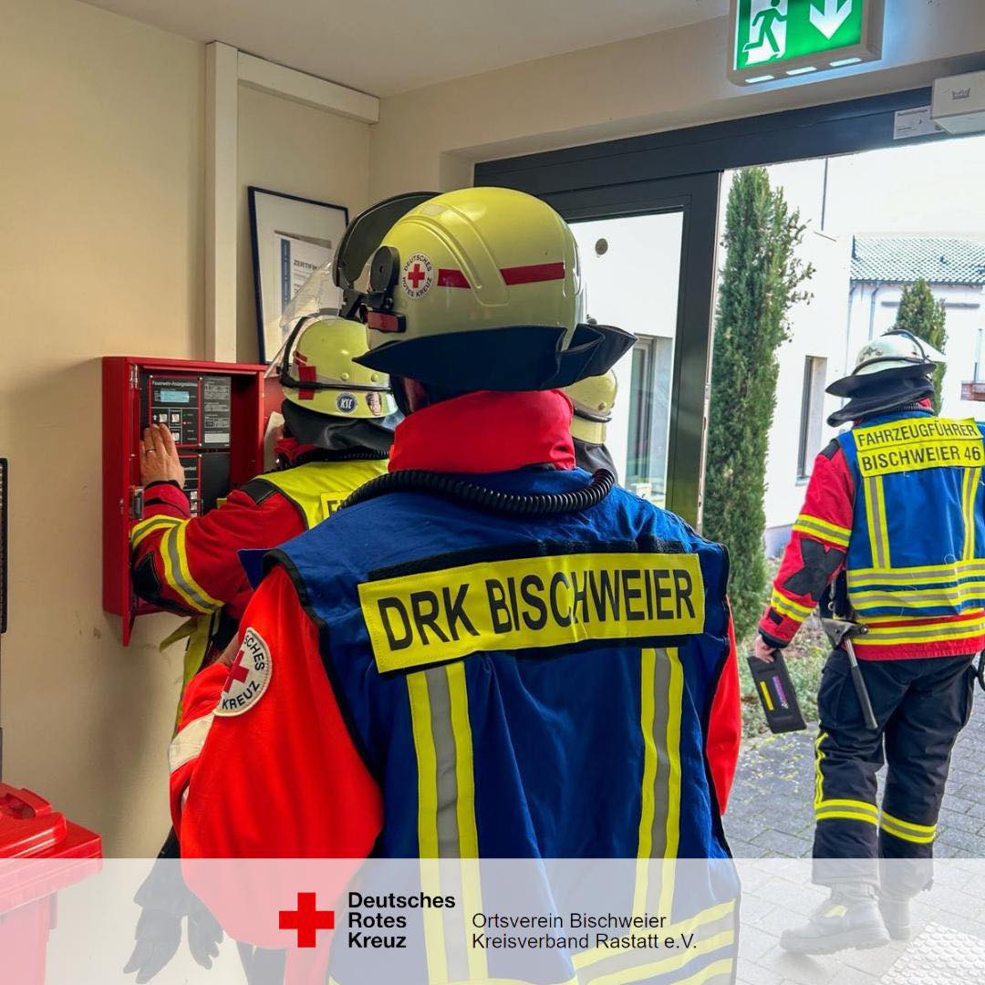 589102582 1266248952210410 1665407196753867558 n