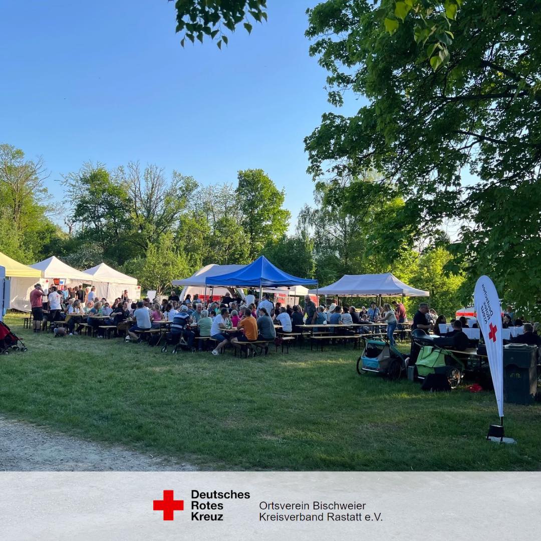 495129262 1096960889139218 2979488664636849590 n